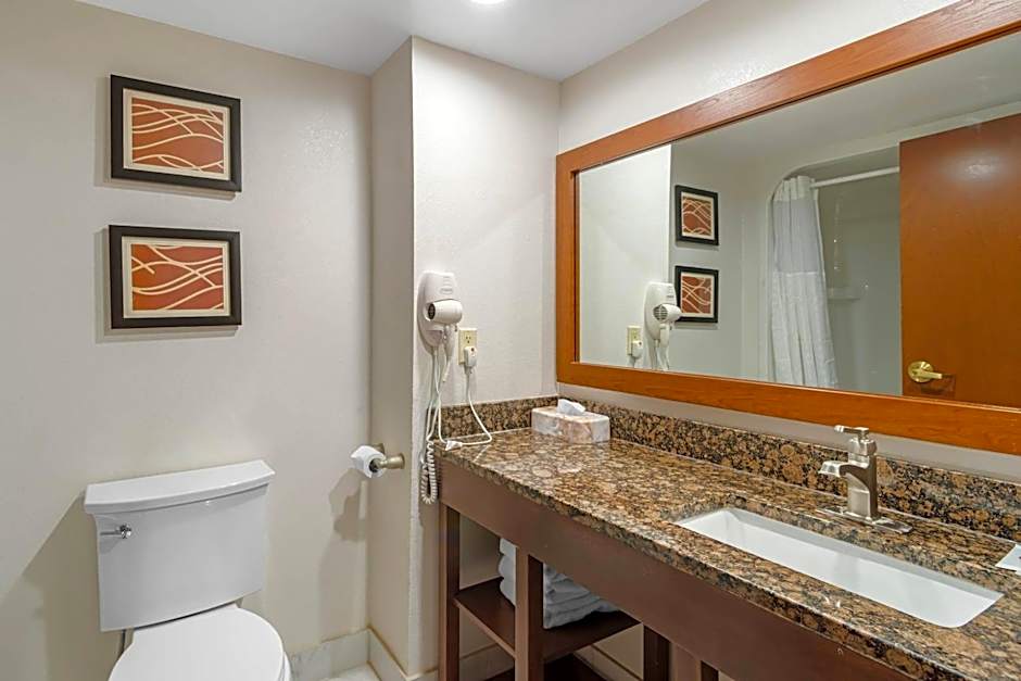 Comfort Inn & Suites Spartanburg North