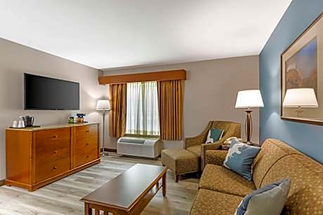 SUITE-1 KING BED,MOBILITY ACCESSIBLE,BATHTUB,SOFABED,NSMK,FULL BREAKFAST