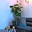 Five Diamonds Hotels