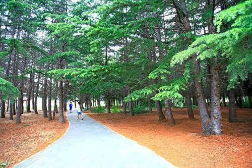 Continental Park Hotel