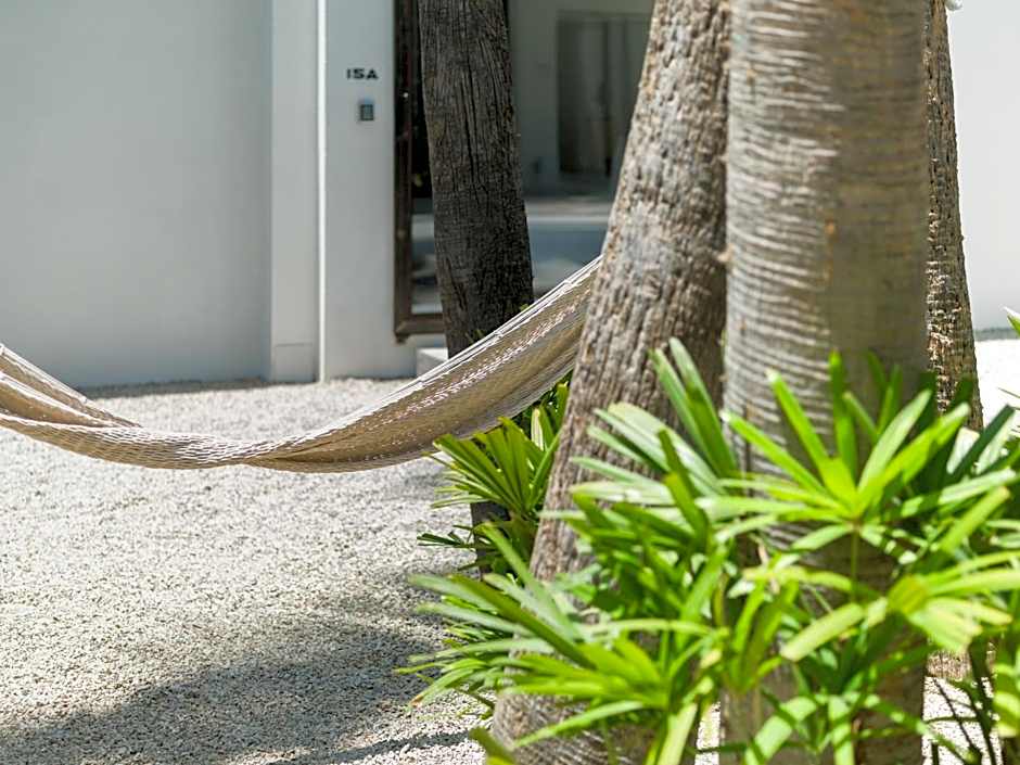 Drift San Jose del Cabo