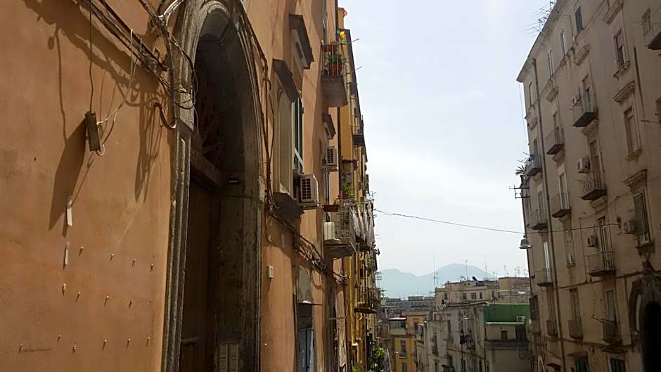 Domusrealstella