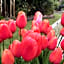 Wynberg House Bed & Breakfast Swansea