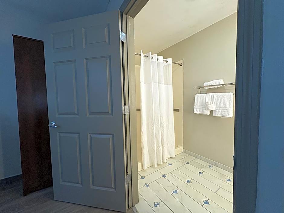 OYO Hampton South Carolina Hwy 278