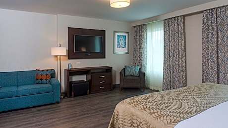 Studio Suite 1 Queen Mobility Accessible Tub Non-Smoking
