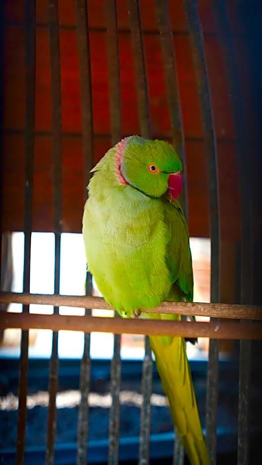 The Wind Mills Hydropark