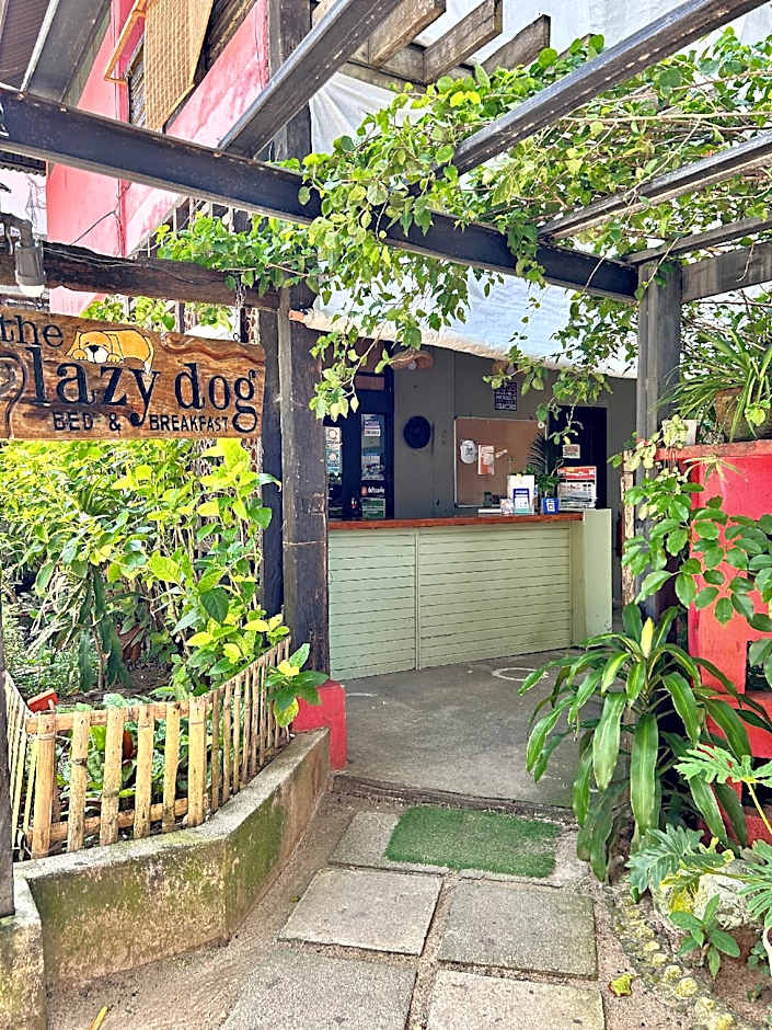 The Lazy Dog Bed & Breakfast