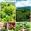 TRIPLE JS INN-SAGADA