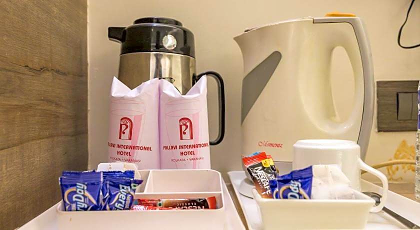 hotel pallavi int.