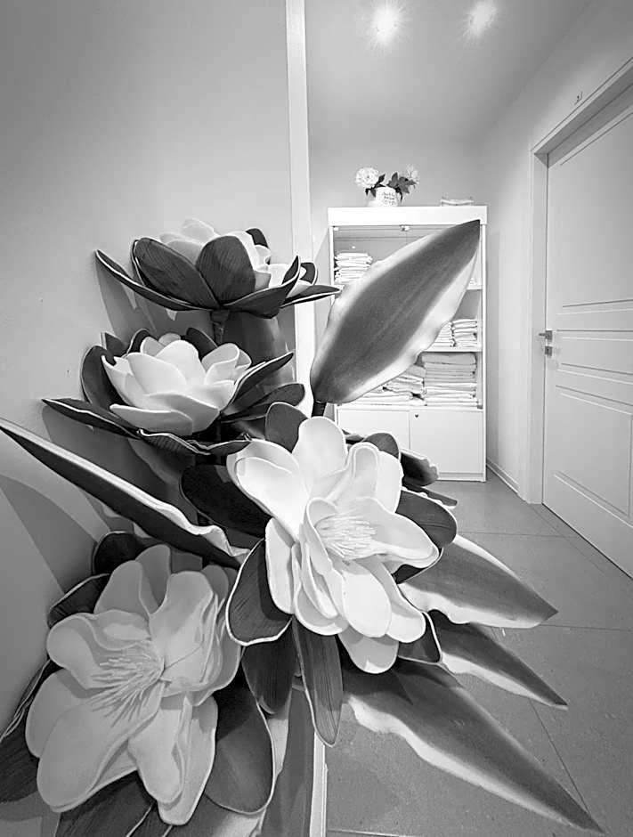 Affittacamere Everest