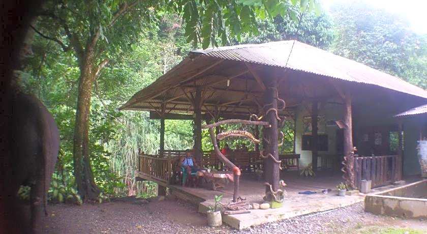 Green lodge tangkahan 