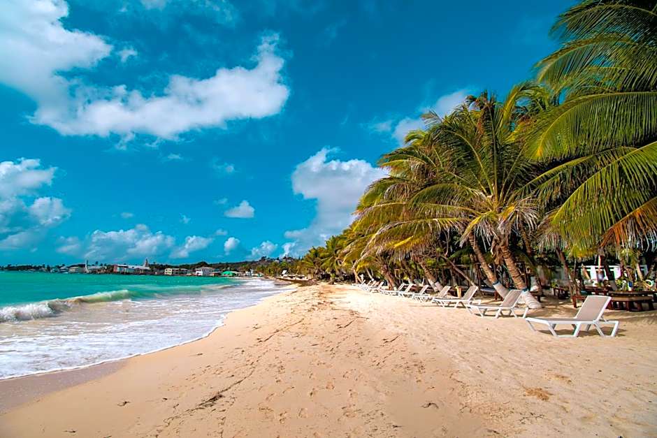 Hotel Reina del Mar By Dorado