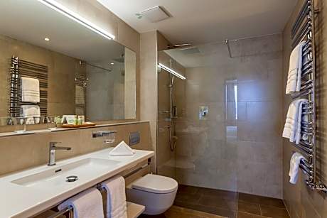 Single Room with Lake View