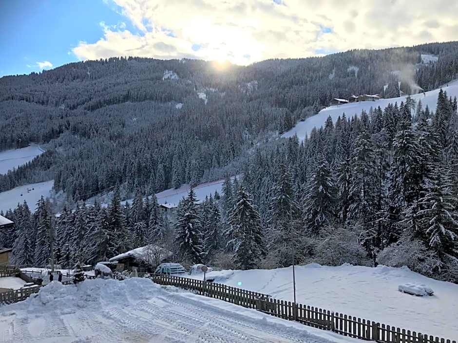 Alpenspitz Appartements - Garni - B&B