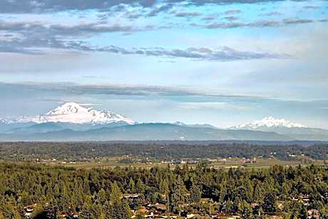Executive Room, 1 King Bed