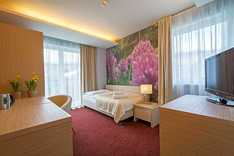 Superior Single Room