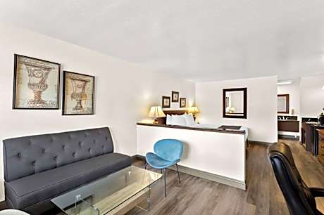 Suite-1 King Bed  Non-Smoking Flat Screen Television Jacuzzi Wet Bar Microwave And Refrigerator High