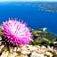 Villa Amorena - Adults Only
