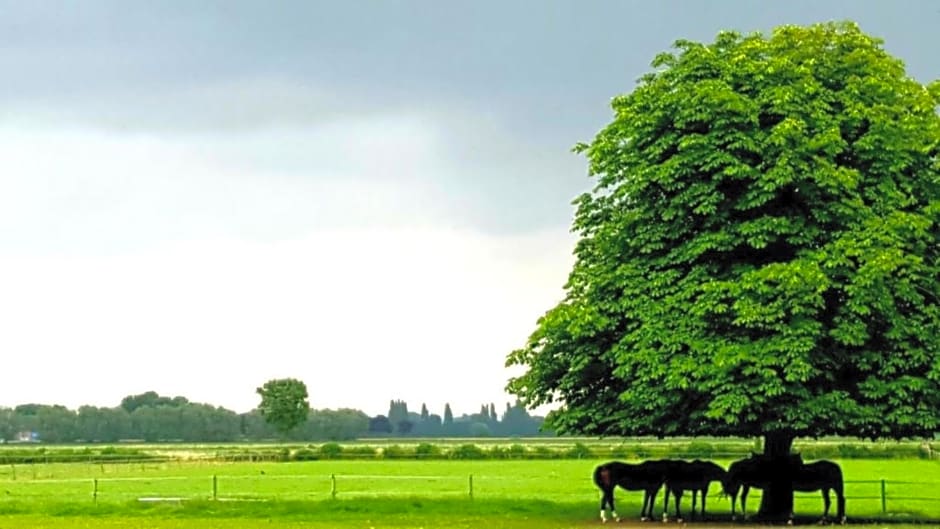 Waard van Kekerdom