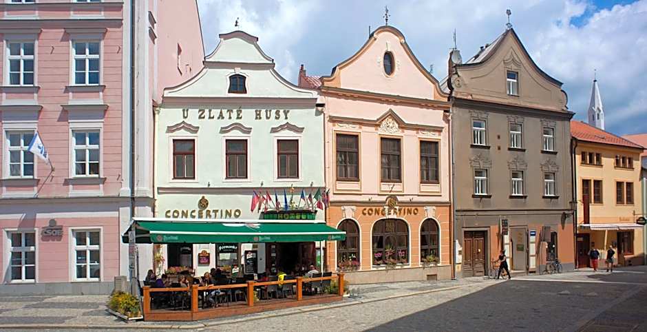 Hotel Concertino Zlatá Husa