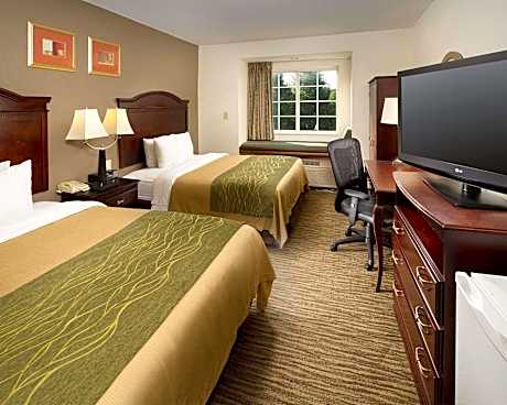 1 King Bed Mobility Accessible With Bathtub