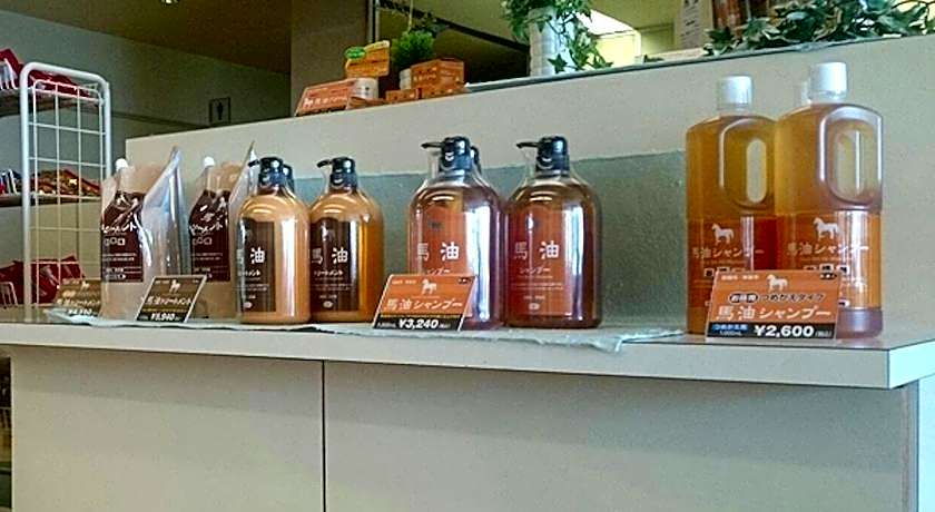 Hotel Axia Kushikino