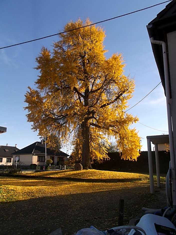 Le Moulin d'Oscar & Spa - Mulhouse Nord