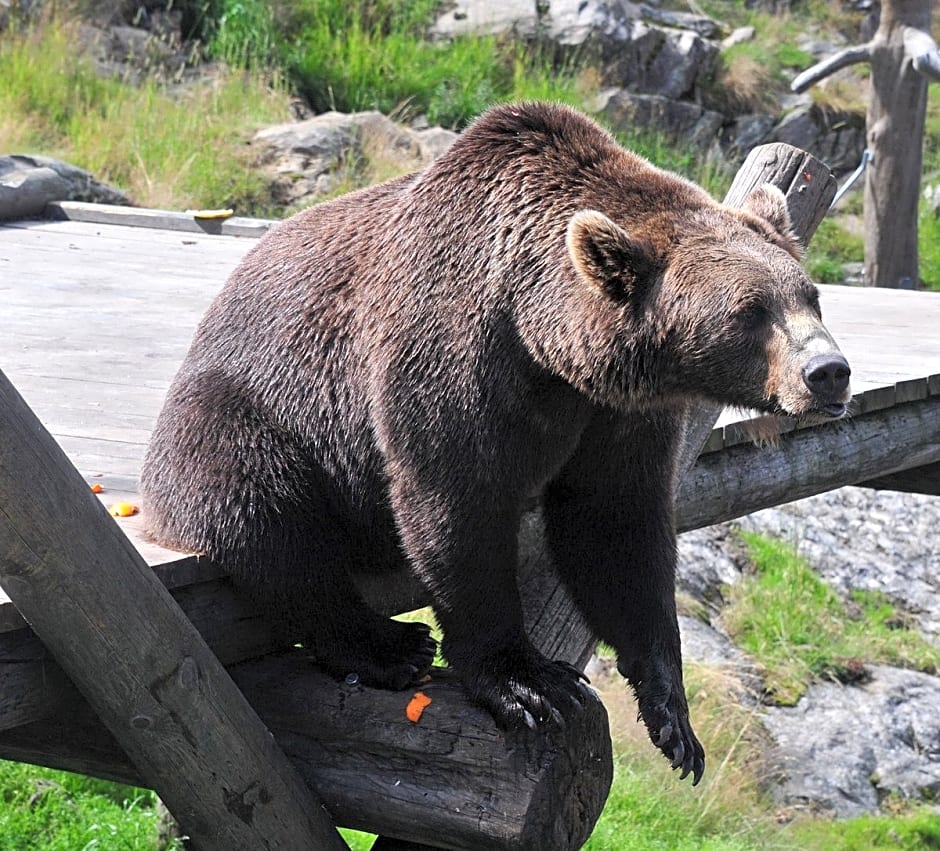 Thon Hotel Bjørneparken