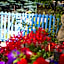 Bed and Breakfast Les Airelles