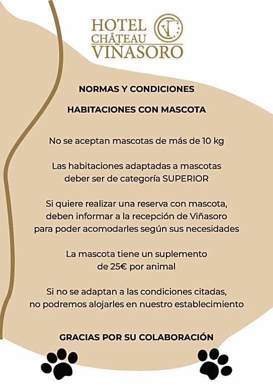 Hotel Château Viñasoro