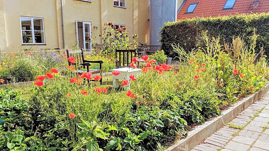 Nexø Modern Hostel. Private Rooms