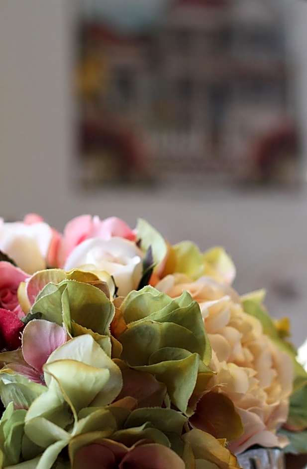 Ah House City B&B Nelson