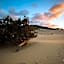Residenze L'Isola Surf House