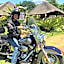 Guinea Feather Country Lodge