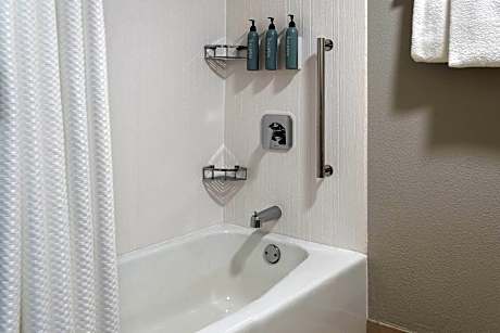 Room, 1 King Bed with Sofa bed (Hearing Accessible) (1 King Bed and 1 Double Sofa Bed)