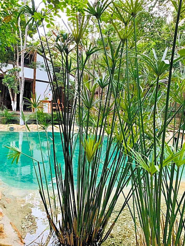 Nahouse Jungle Lodges