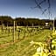 The Carriages Boutique Hotel and Vineyard