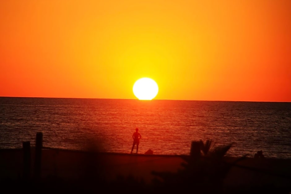 Surf Olas Altas