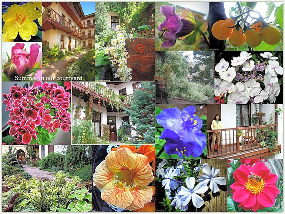 Globtroter Guest House