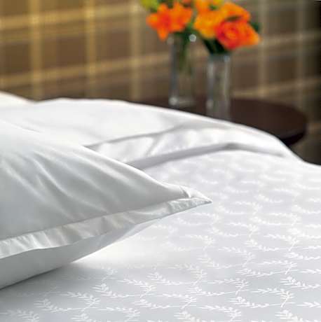 club level, 1 bedroom presidential suite, 1 king, park view view