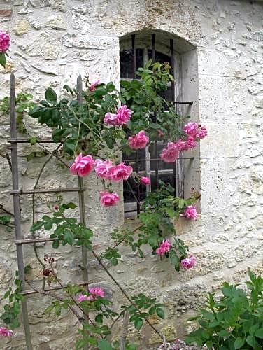 Les Loges du Manoir