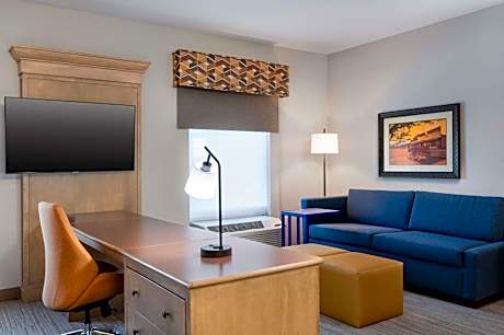1 King Studio Suite Nonsmoking