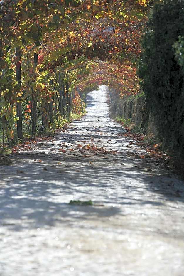 Hotel Rural Casa dos Viscondes da Varzea