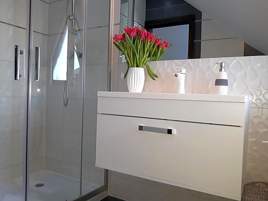 Saskia Dwór & Spa Willa z basenem