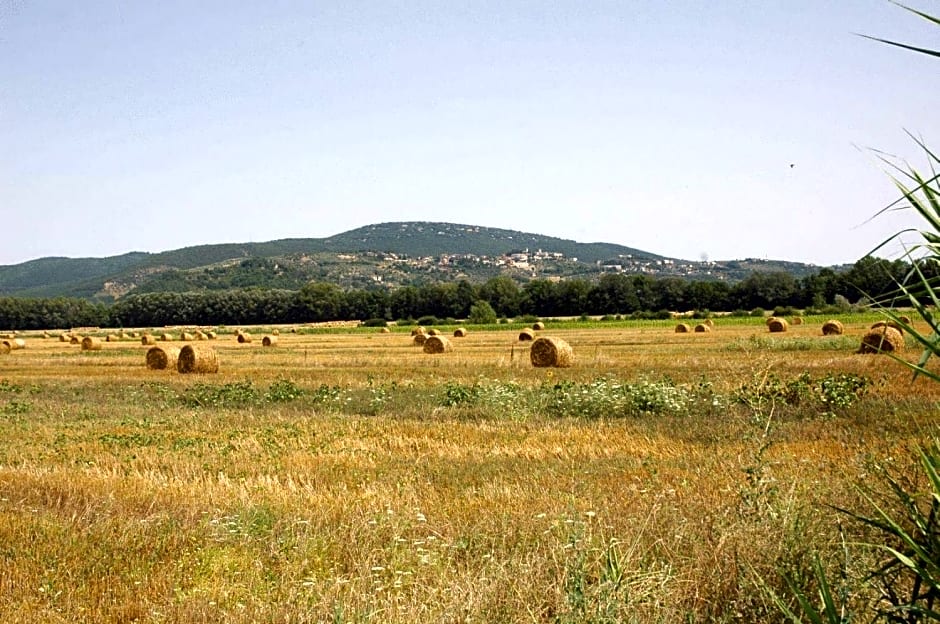 Casa Vacanze Vecchio Granaio