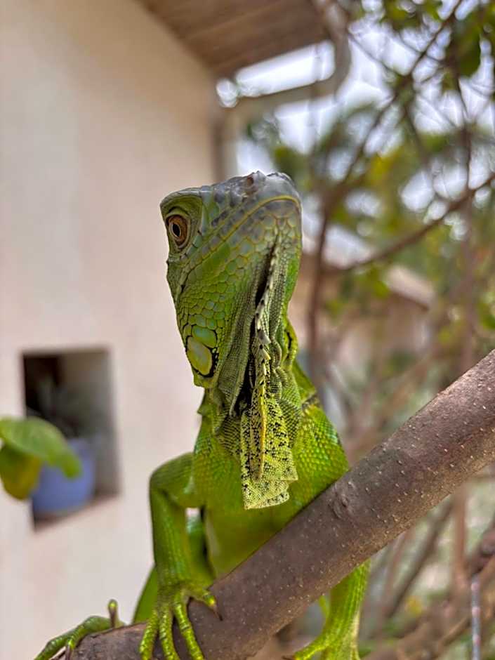 La Ramona Charming Hotel