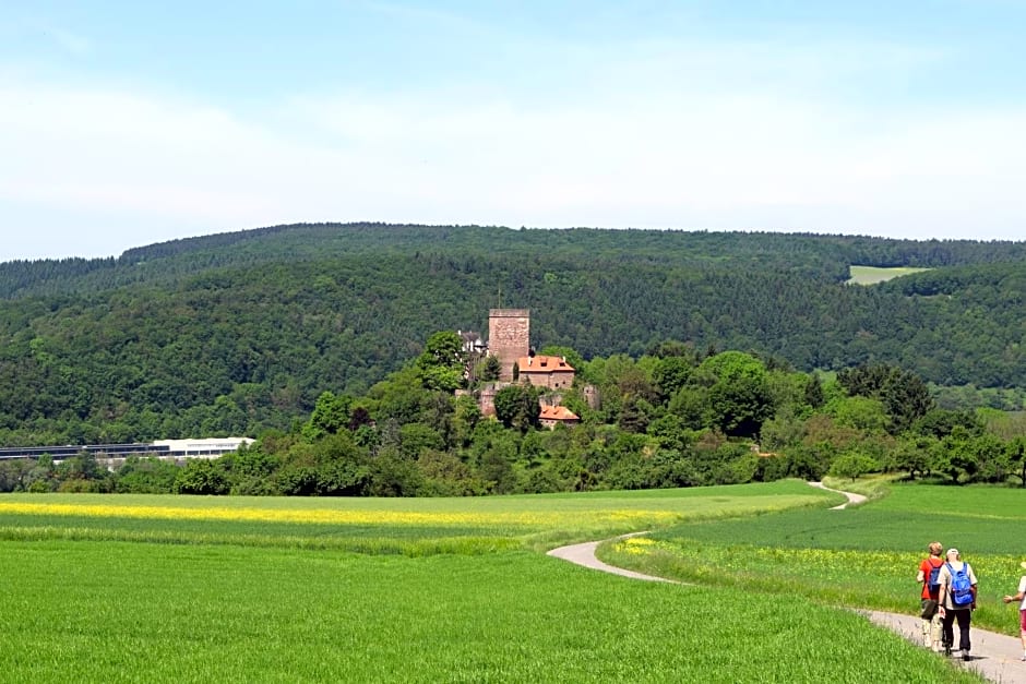 Gasthaus & Hotel Drei Lilien