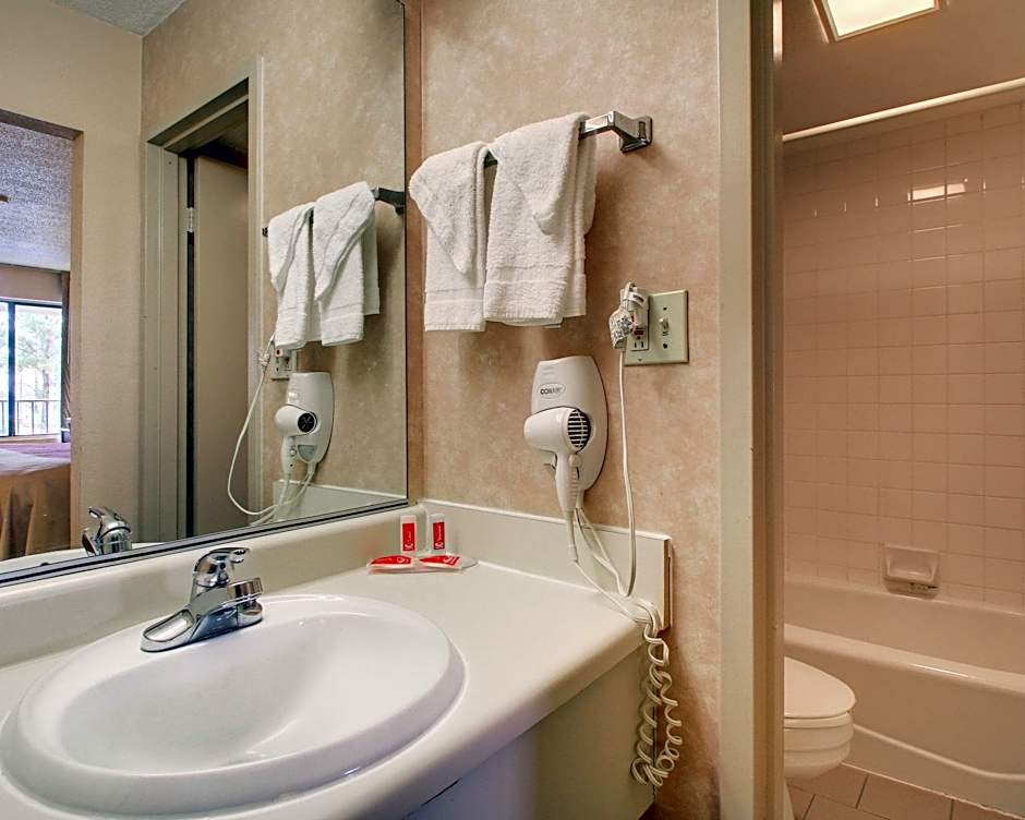 Econo Lodge North Suburbs