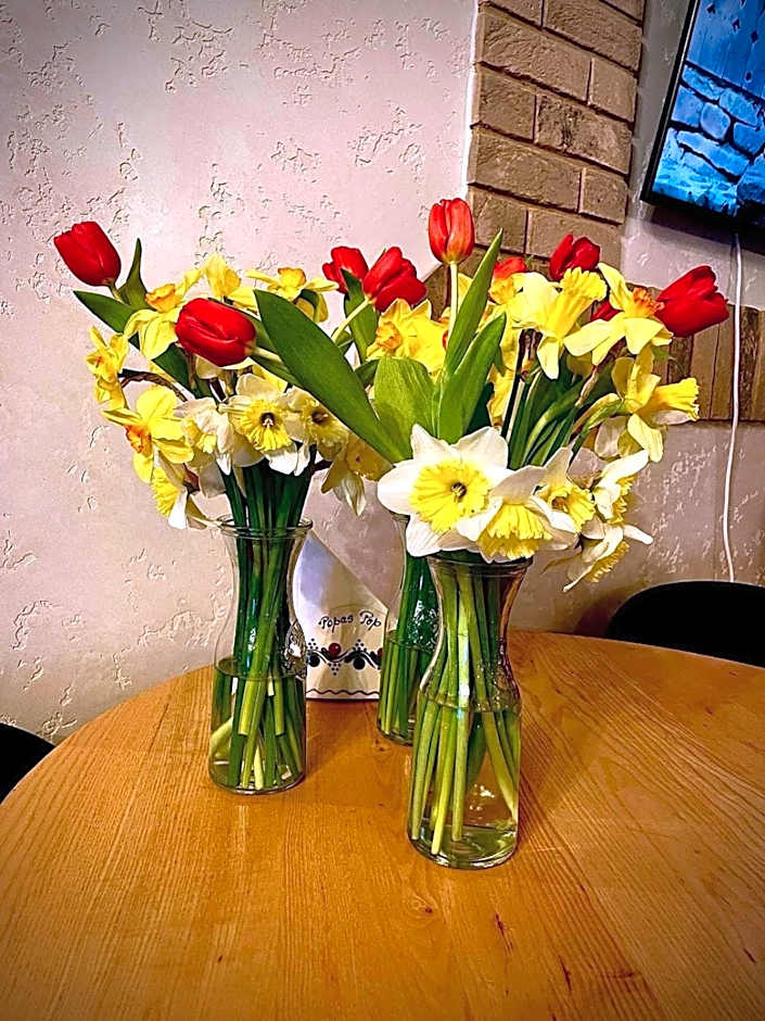 Pensiunea Popas Pop, Strambu-Baiut, Maramures