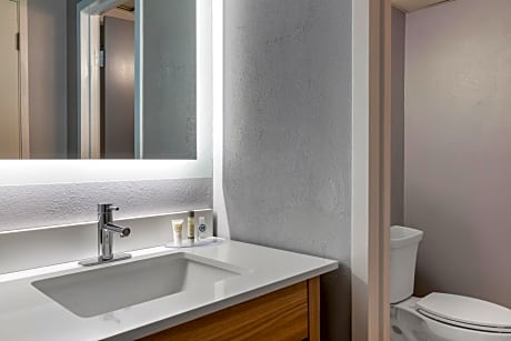 King Room - Pet Friendly